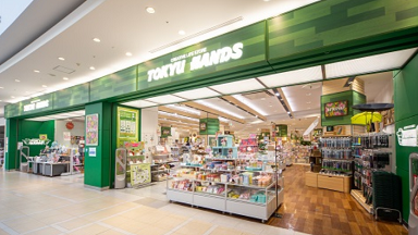 プロアクティブ 東急ハンズ